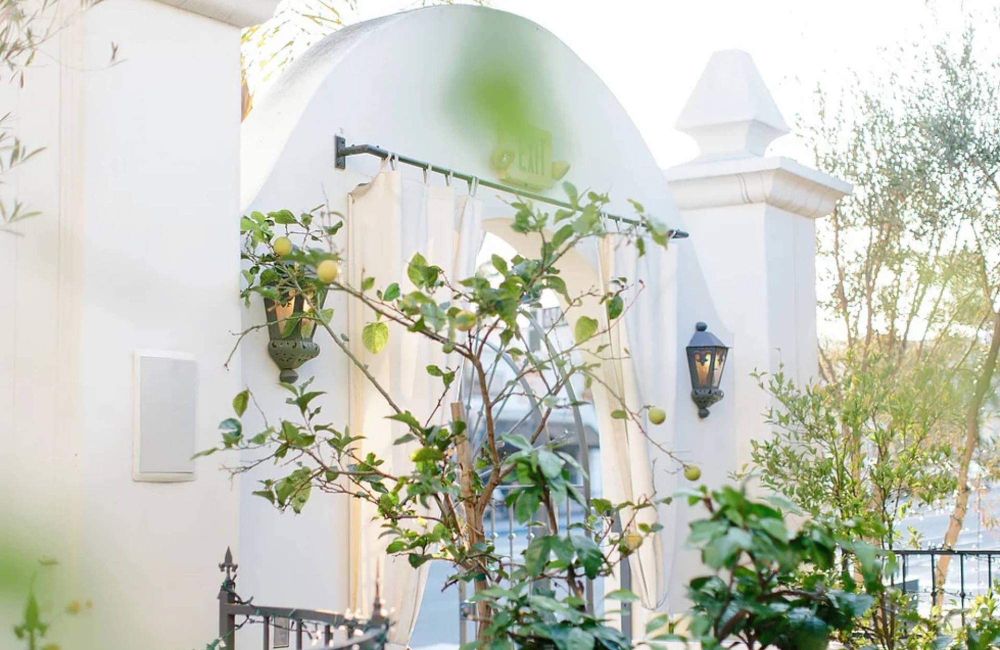 Villa & Vine Weddings Venue