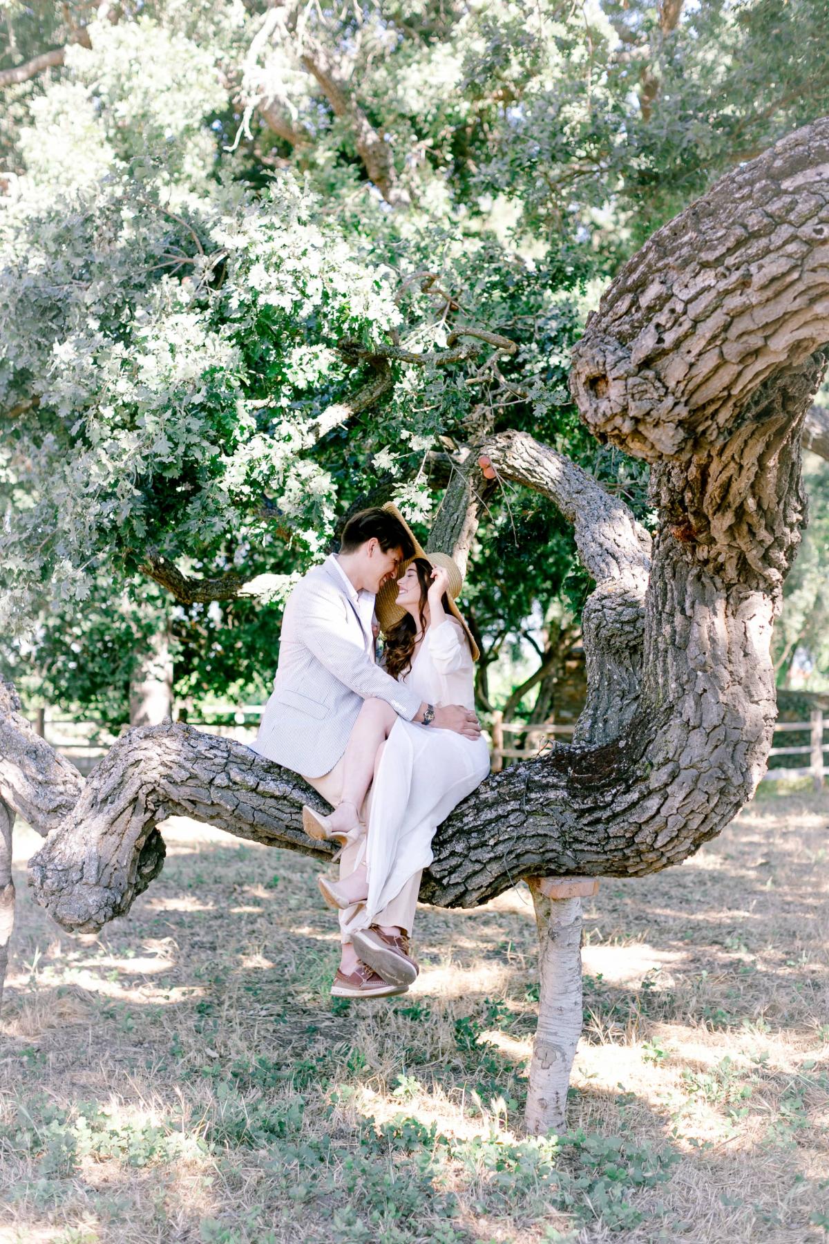 Bride & Groom Sitting on Tree Branch for Mika & James's Wedding