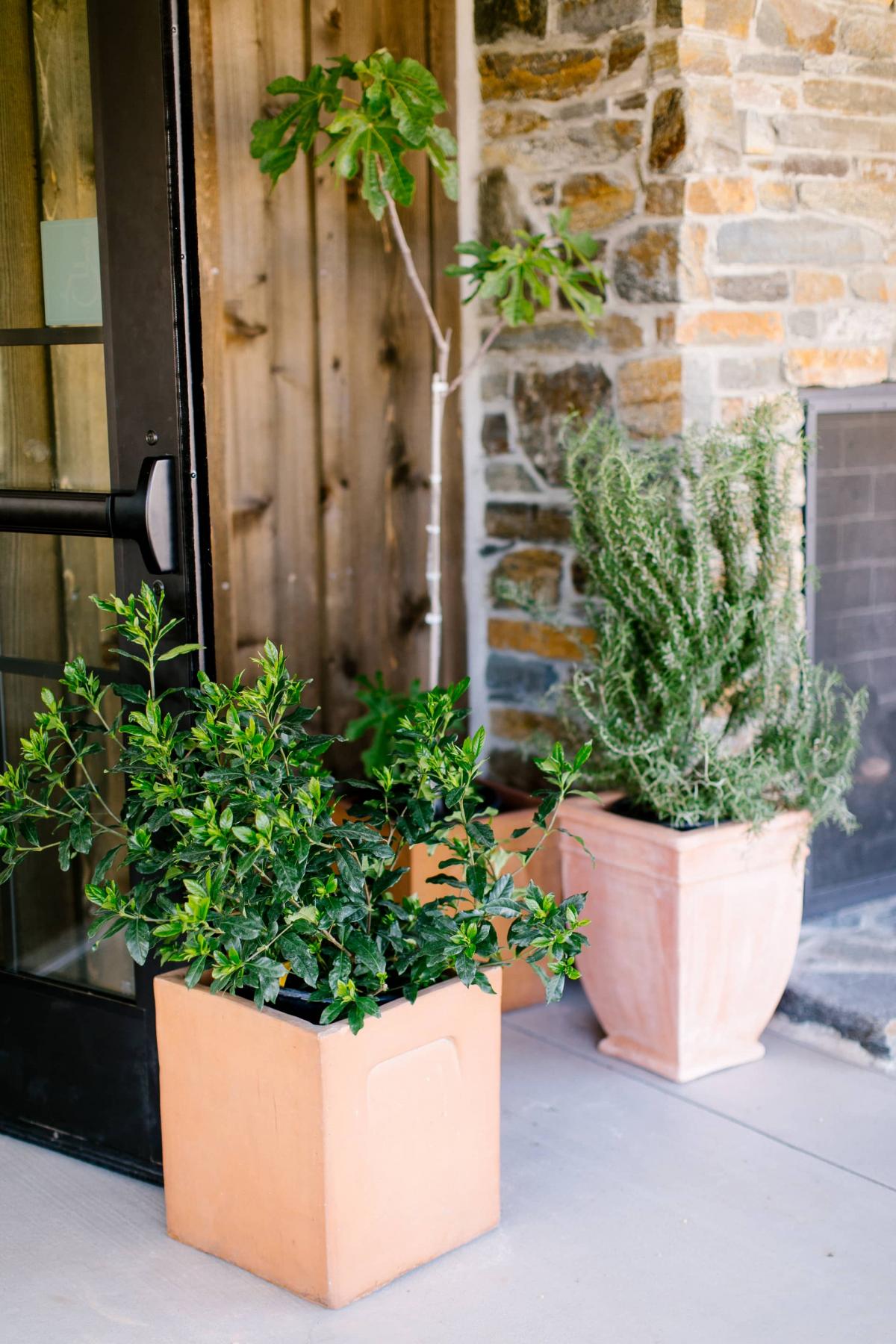 Planters Outside Petros Winery Front Door for a Rehearsal Dinner