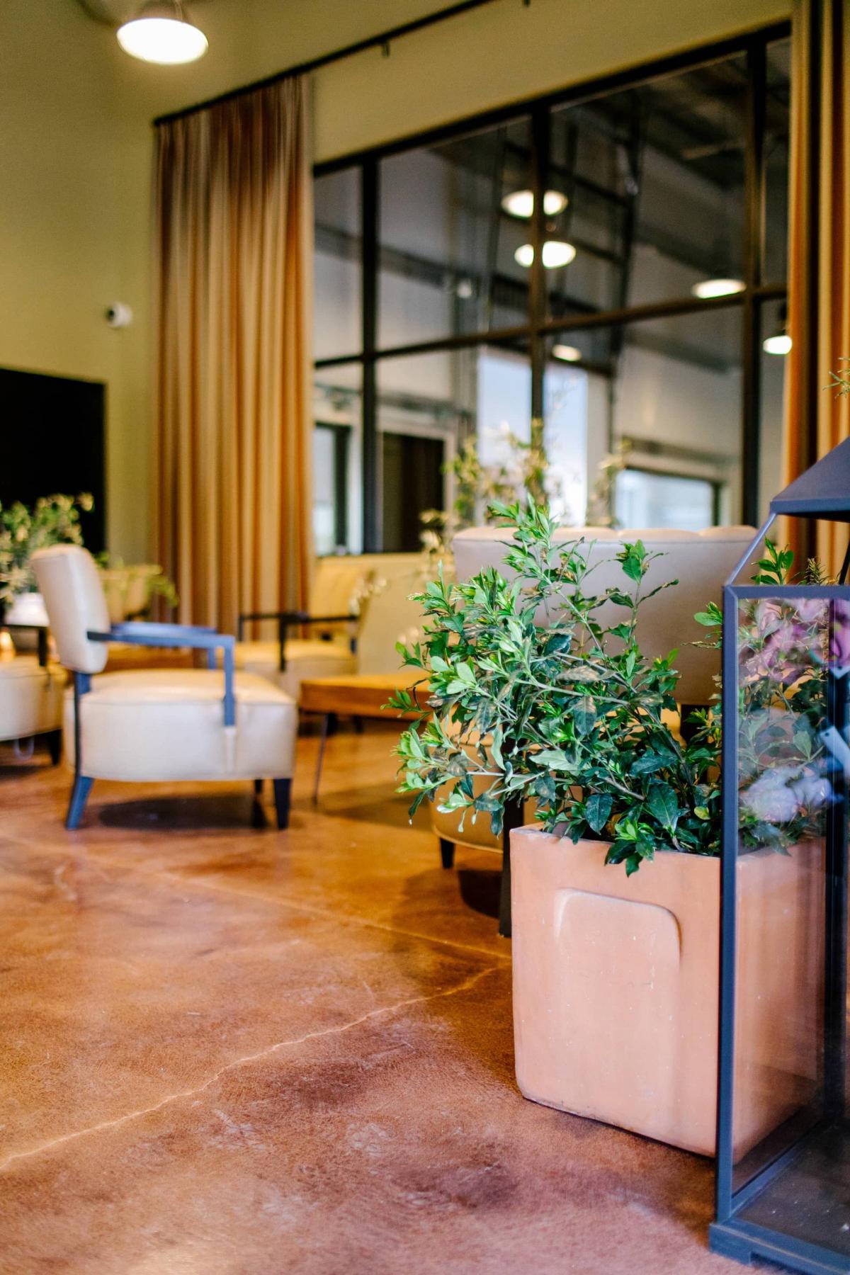 Petros Winery Reception Area with Chairs and Planters