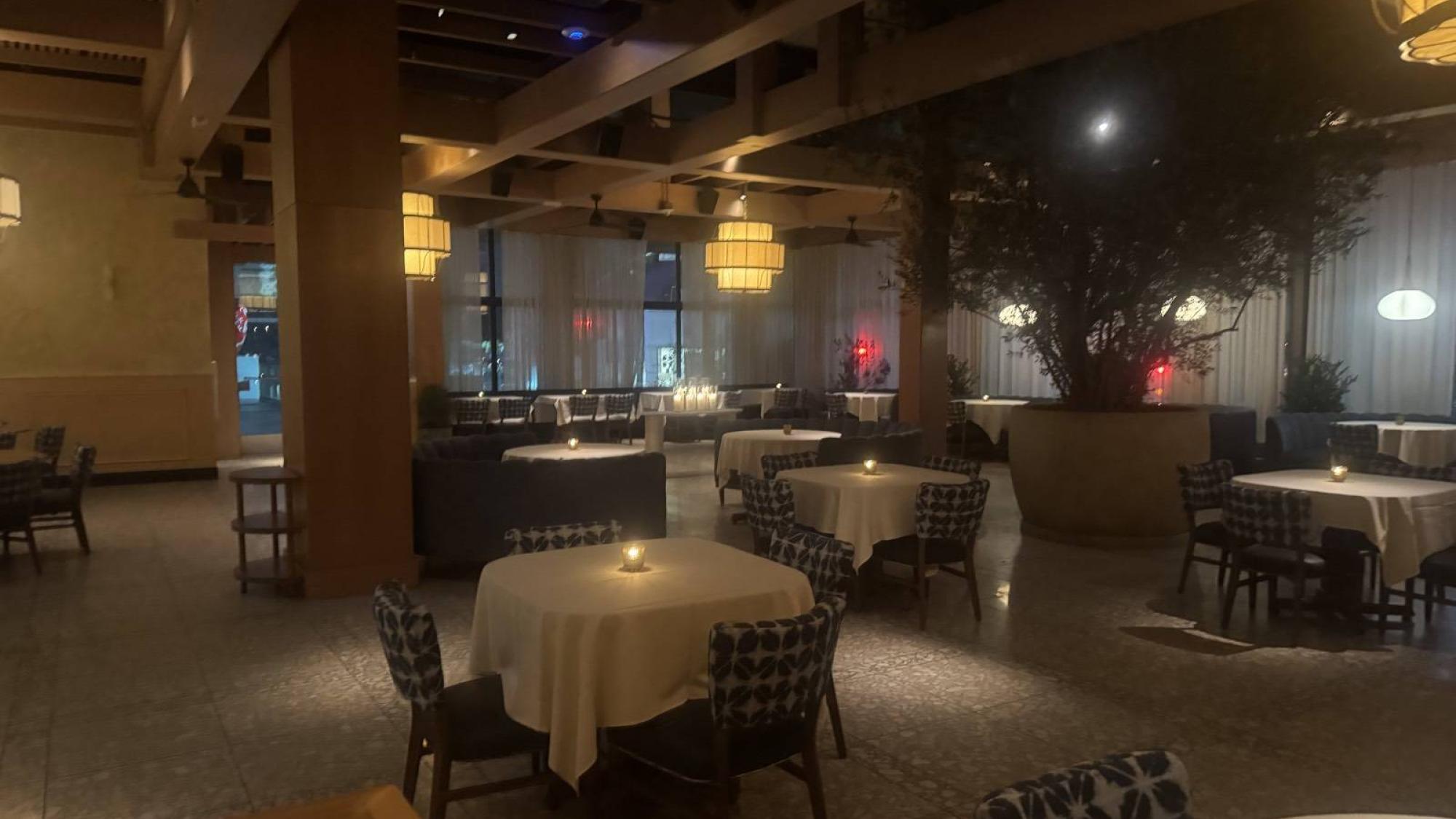 Restaurant dining area with candlelit tables, patterned chairs, and a large potted tree under soft lighting.