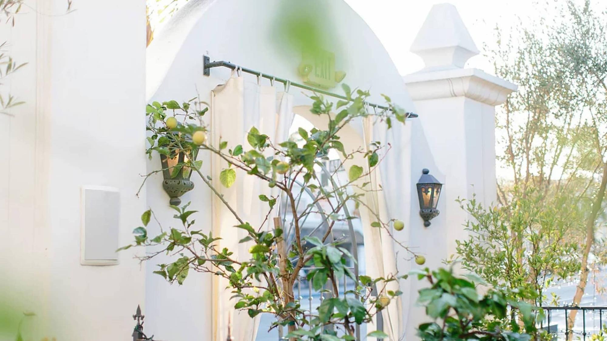 Villa & Vine Weddings Venue